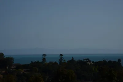 DSC_2471 (Large).JPG